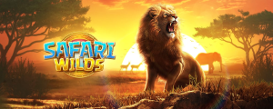 safari